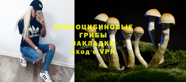 СК Аркадак