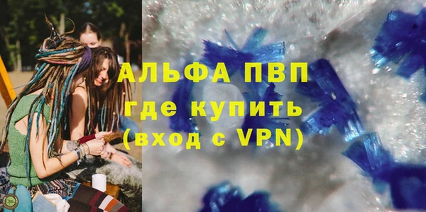 прущие грибы Михайловск
