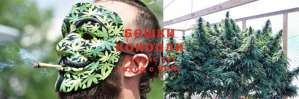 СК Аркадак