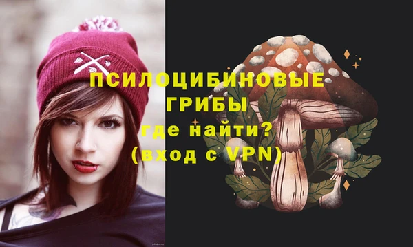 винт Арсеньев