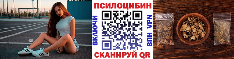 МЕГА зеркало  Сегежа  Псилоцибиновые грибы Psilocybe  хочу наркоту 
